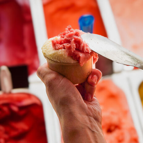 16 gelateria nobile lyon